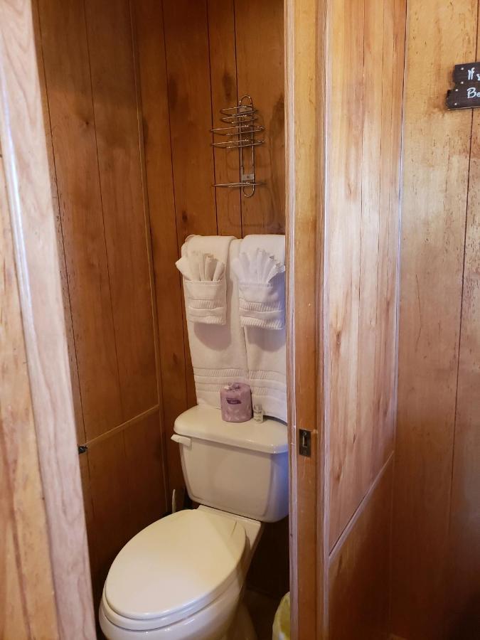 Stampede Rv B&B 图姆斯顿 外观 照片