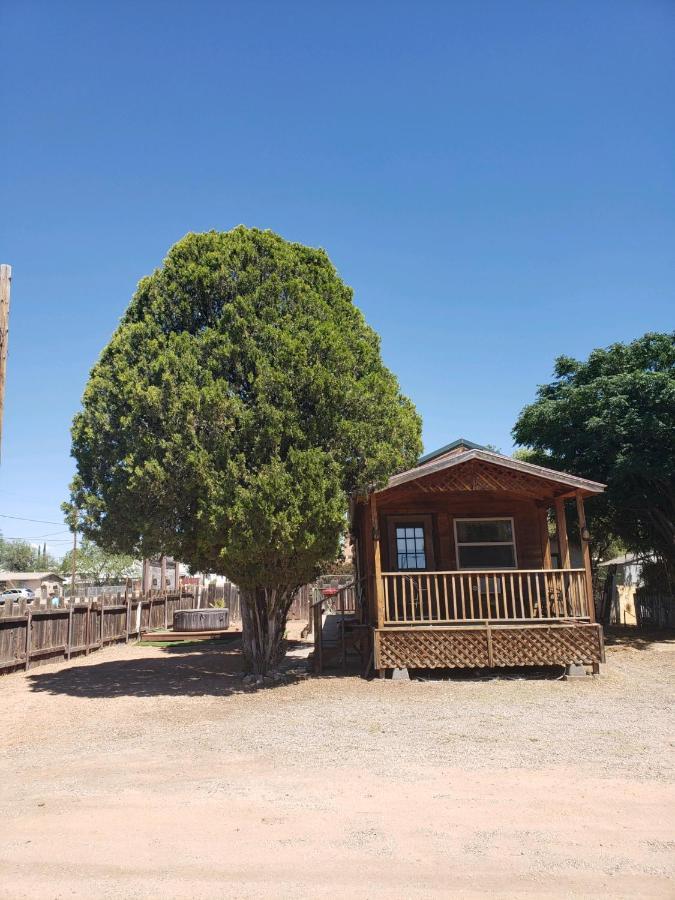 Stampede Rv B&B 图姆斯顿 外观 照片